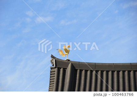 屋根/鳳凰の装飾が据えてある瓦屋根の端部 100463766