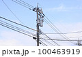 電柱 100463919