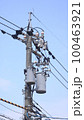電柱 100463921