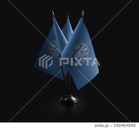 Small national flags of the Food and agriculture organization on a black background 100464009