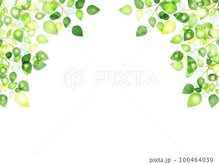 水彩風新緑キラキラの葉っぱアーチフレーム 水彩風新緑キラキラの葉っぱアーチフレーム 100464030