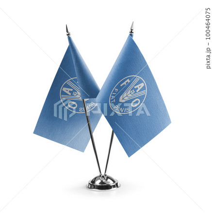 Small national flags of the Food and agriculture organization on a white background 100464075