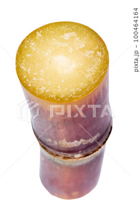 sugar cane 100464164