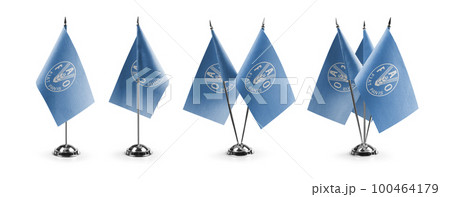 Small national flags of the Food and agriculture organization on a white background 100464179