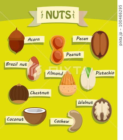 Flat Natural Nuts Elements Collection Flat Natural Nuts Elements Collection 100466295