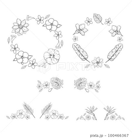 Sketch Monochrome Floral Exotic Plants Collection Sketch Monochrome Floral Exotic Plants Collection 100466367