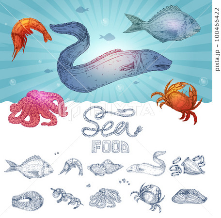 Seafood Hand Drawn Concept Seafood Hand Drawn Concept 100466422