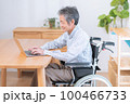 車椅子に乗ったシニア男性（介護・福祉・パソコン） 100466733