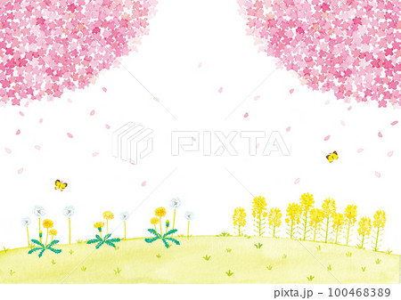 春の風景　桜と菜の花とたんぽぽ　水彩イラスト 100468389