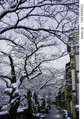 雪景色が美しい主計町茶屋街 100468802