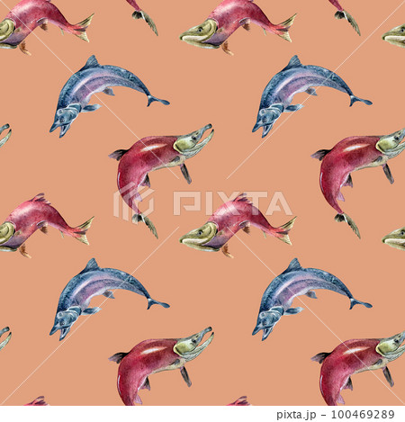 Seamless pattern of salmon, coho, chum watercolor illustration isolated on pink. 100469289