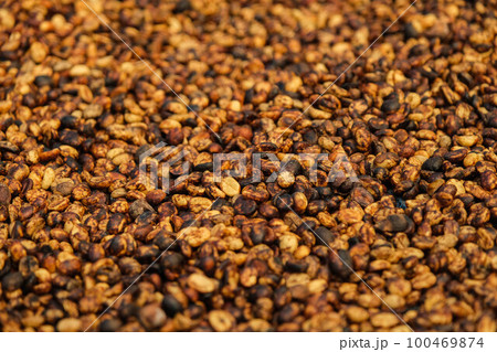Background of bulk drying of coffee beans under sunlight. The natural drying of the coffee beans by the honey process, removed bulb and remaining sweet for dry. Selective focus. Background of bulk drying of coffee beans under sunlight. The natural drying of the coffee beans by the honey process, removed bulb and remaining sweet for dry. Selective focus. 100469874