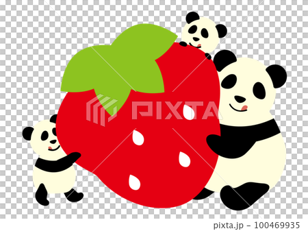 吃草莓的熊貓父母和孩子 吃草莓的熊貓父母和孩子 100469935