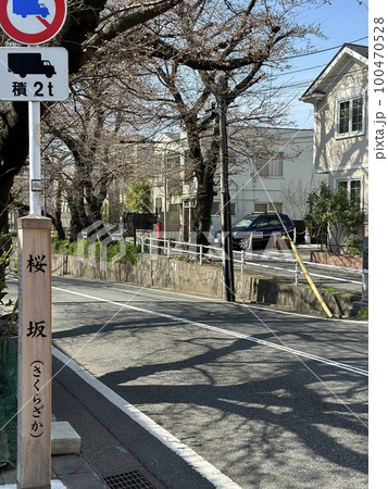 桜坂(2023年開花宣言の翌日) 桜坂(2023年開花宣言の翌日) 100470528