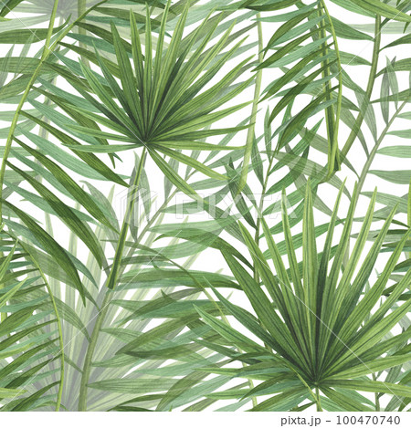 Seamless pattern realistic tropic plants palm watercolor isolated on white. Watercolor hand drawn botanical llustration 100470740
