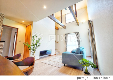 天井の高い吹き抜けのある明るい新築住宅 天井の高い吹き抜けのある明るい新築住宅 100471067