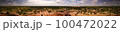Panoramic landscape view to sahel and oasis, Dogondoutchi, Niger 100472022