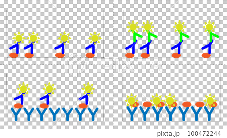 ELISA的4種方法 100472244