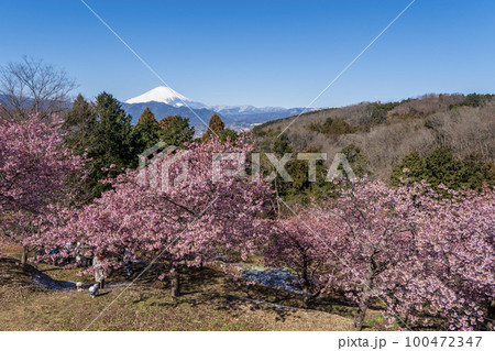おおいゆめの里の風景　神奈川県大井町 100472347