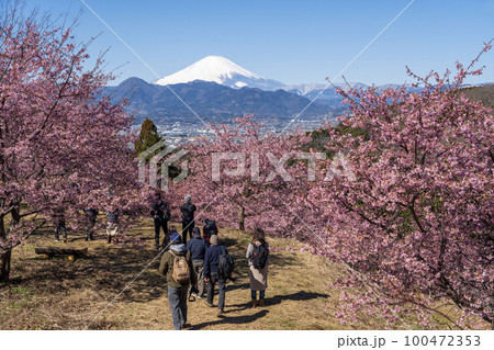 おおいゆめの里の風景 神奈川県大井町 おおいゆめの里の風景 神奈川県大井町 100472353