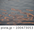 水面と波紋 100473053
