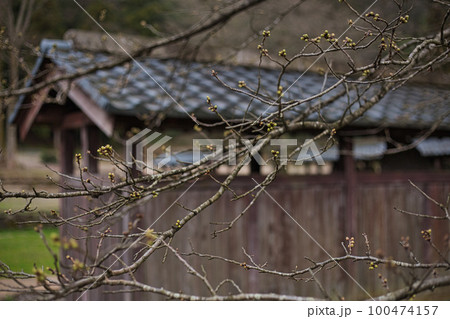 一乗谷朝倉氏遺跡-西山光照寺石仏群 100474157