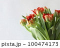 Peony-shaped terry orange-red tulip flowers bouquet boarder on white background. Peony-shaped terry orange-red tulip flowers bouquet boarder on white background. 100474173