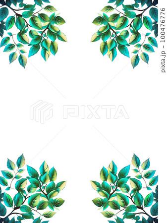 新緑の枝フレーム(透過) 新緑の枝フレーム(透過) 100476776