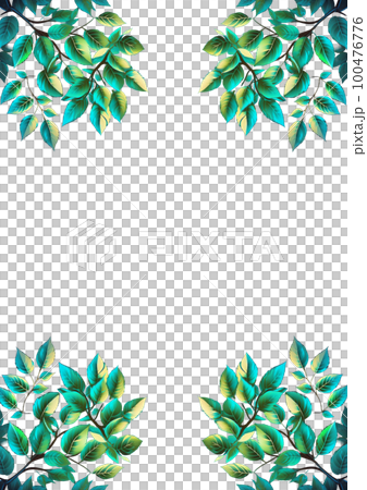 Fresh green branch frame (transparent) 100476776