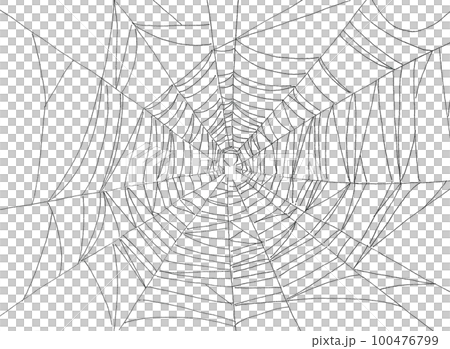 蜘蛛網手繪插畫 100476799