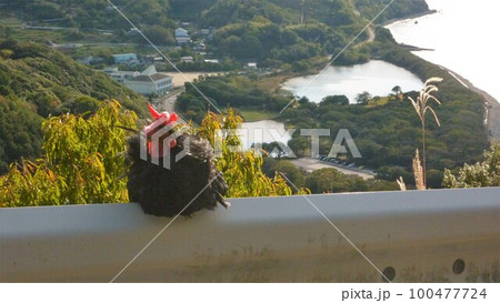鶏とともに地域探索 鶏とともに地域探索 100477724
