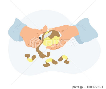 The work of a cook in the kitchen. Illustration of hands peeling potatoes. Food illustration, vector. 100477821