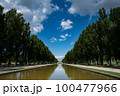 前田公園のポプラ並木と青空リフレクション 100477966