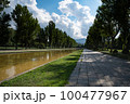 前田公園のポプラ並木と青空リフレクション 100477967