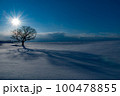 北海道の雪原の樹形 100478855