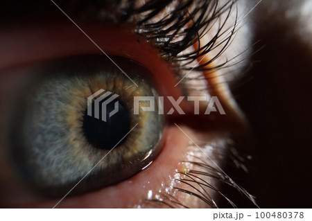 Extreme closeup macro Image of human eye Extreme closeup macro Image of human eye 100480378