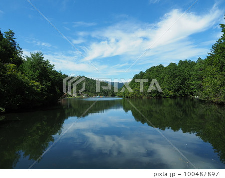 京都 菖蒲谷池の夏景色 京都 菖蒲谷池の夏景色 100482897