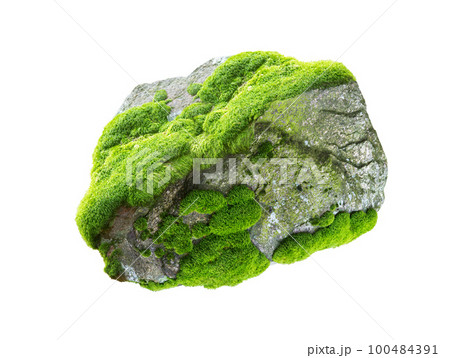 stone covered with moss isolated on white background 100484391