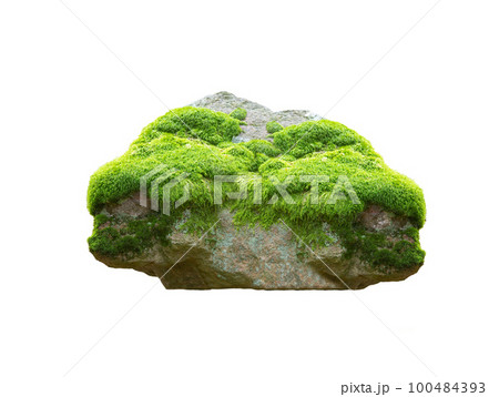 stone covered with moss isolated on white background 100484393