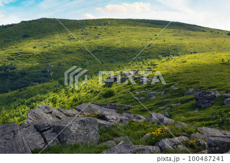 wonderful summer landscape in mountains. grassy meadows and rolling hills. boulders and stones on the hillside. picturesque scene in morning light. ukrainian carpathians countryside scenery 100487241