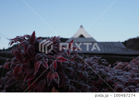 赤い葉の木と霜と民家のやねと空 100487274