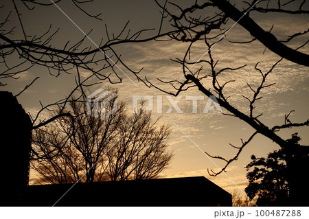 冬の夕空 冬の夕空 100487288
