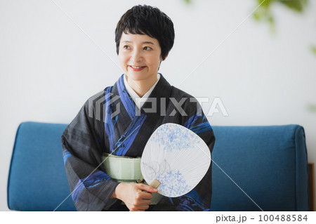黒い夏の小紋　薄物　リビング　　 100488584