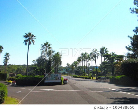 宮崎市フェニックス自然動物園 100488650