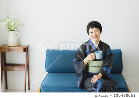 黒い夏の小紋　薄物　リビング　　 100488663