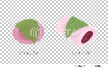 Illustration of sakura mochi 100488796