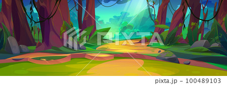 Summer jungle forest landscape, with sun light ray 100489103