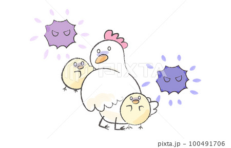 鳥インフルエンザに恐れるにわとりとひよこ1 100491706