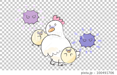 鳥インフルエンザに恐れるにわとりとひよこ1 100491706
