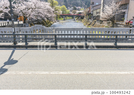 220412中橋桜z323 220412中橋桜z323 100493242